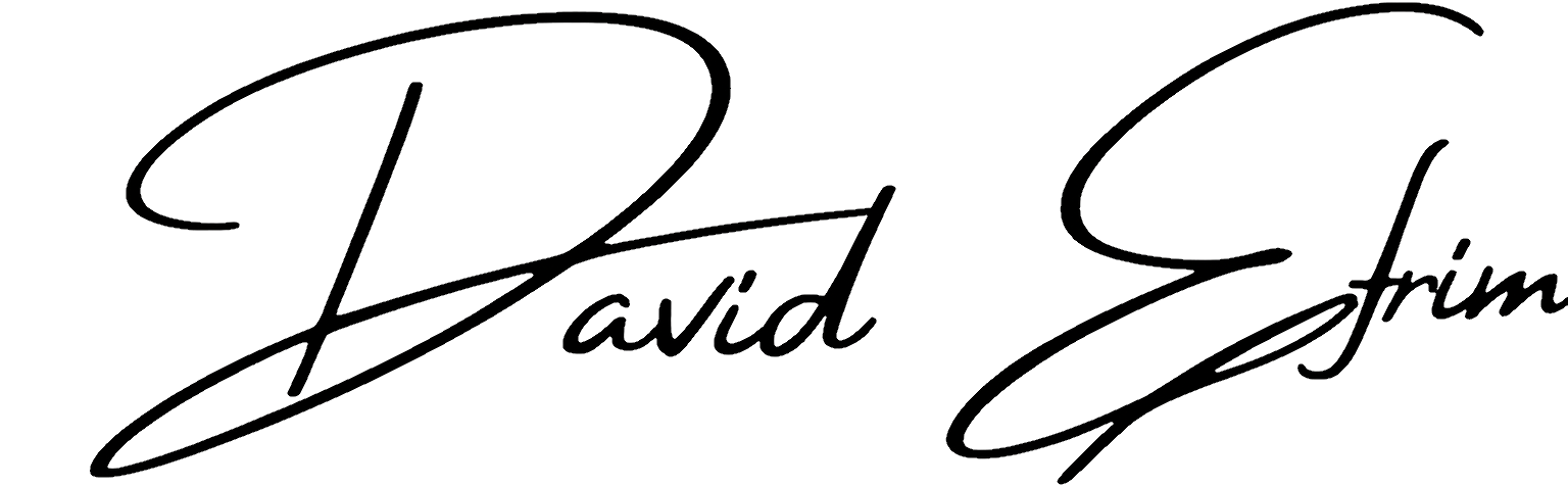 David Efrim: Fotograf nunta Craiova